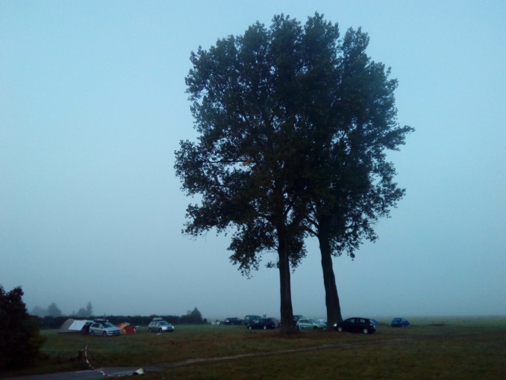 morgendmmerung.jpg