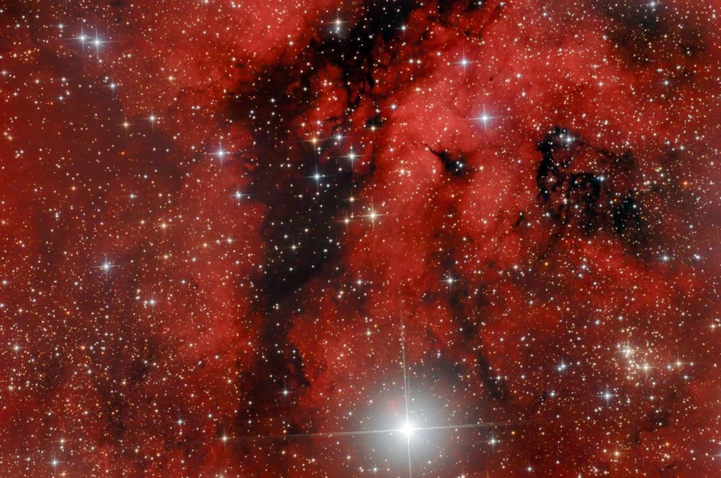 ic1318bildquellemirkowanke21092019.jpg