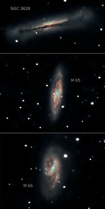 Leo Triplett