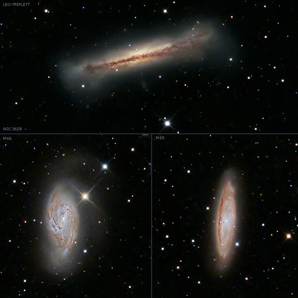 Leo-Triplett, &copy; Michael M�ckel.